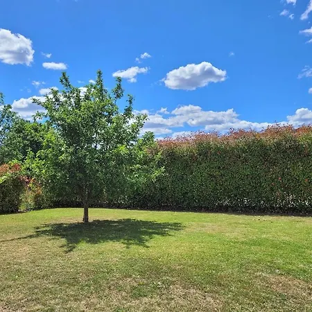 Holiday home Les Palmiers En Provence