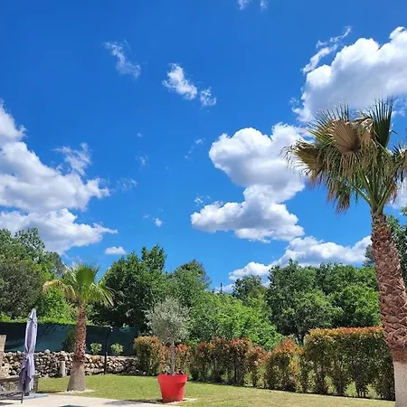 Les Palmiers En Provence *